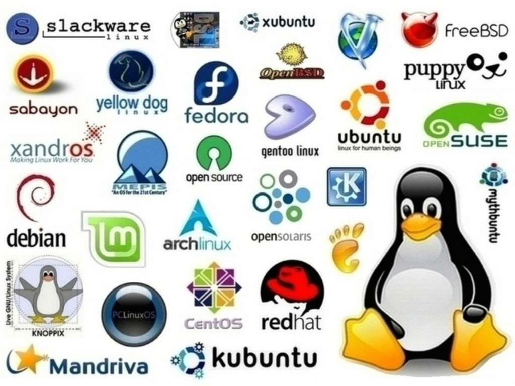 Opiniones de Distribución Linux