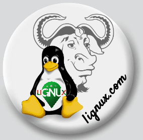 Linux y Gnu_Chapa