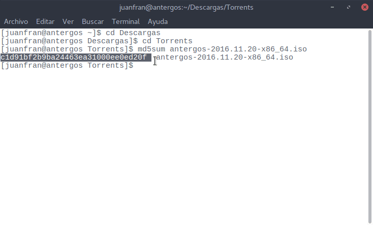 juanfranantergos-descargas-torrents_004