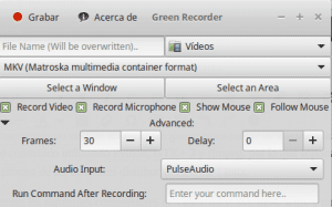 Interfaz Green Recorder