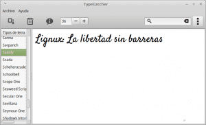 Interfaz TypeCatcher